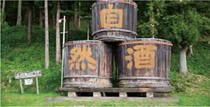 発酵ライフスタイル
