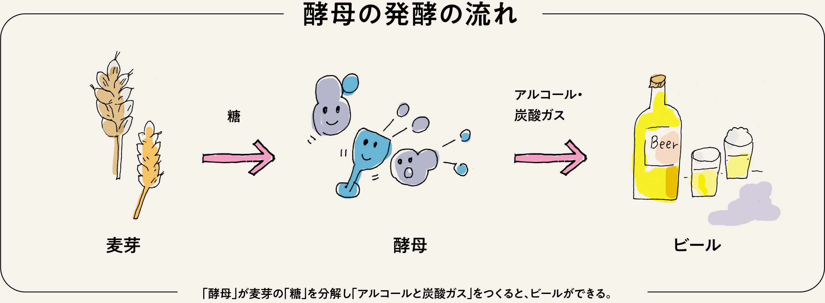 酵母とは｜発酵のきほん｜みんなの発酵BLEND