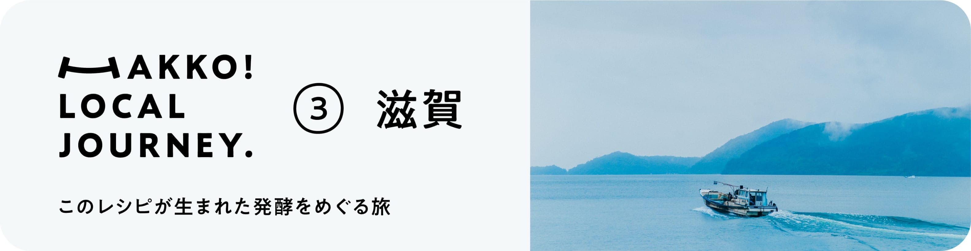 発酵BLENDコラム
