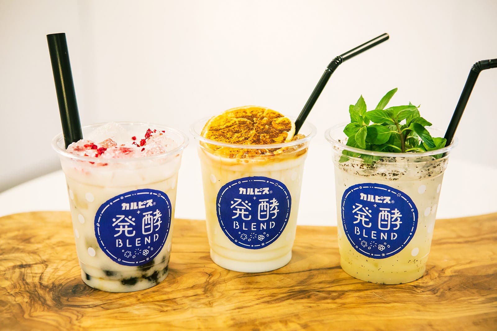 味噌からチーズケーキまで。〈〜日本の知恵〜発酵の世界〉で進化する