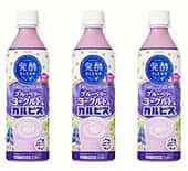 「カルピス」と「ヨーグルト」2つの発酵食品に旬のブルーベリーの組み合わせ！新しい「発酵BLEND」が登場！