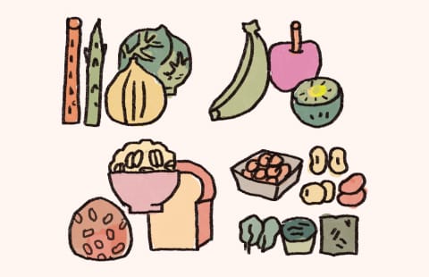 「発酵性食物繊維」とは？